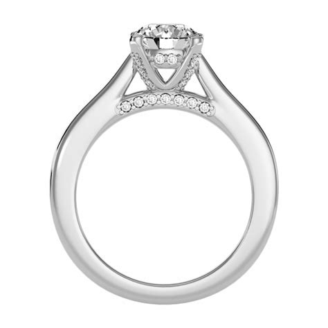 classy diamond ring world  ring