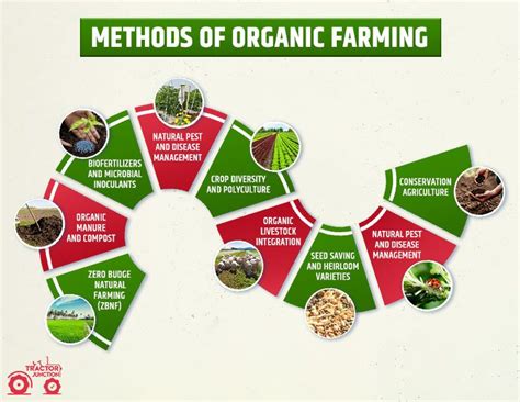 organic farming  india types methods advantages