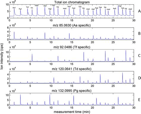 Headspace Analysis Showing The Total Ion Chromatogram A And Extracted