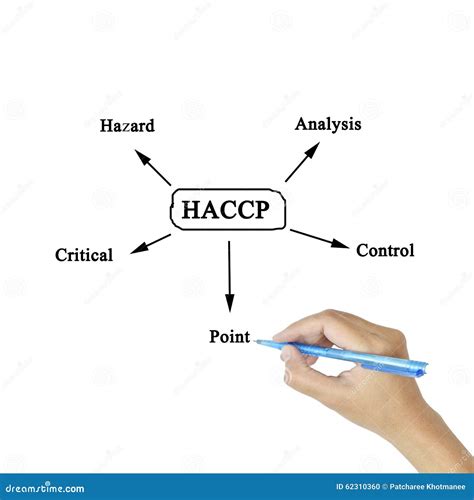 O Significado Do Conceito De Haccp An Lise De Perigo De Contro Cr Tico