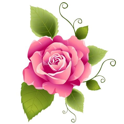 Vector Rose Swirl Leaves Stock Illustrations – 2,783 Vector Rose Swirl Leaves Stock ...