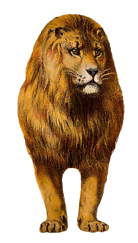 lion clip art library