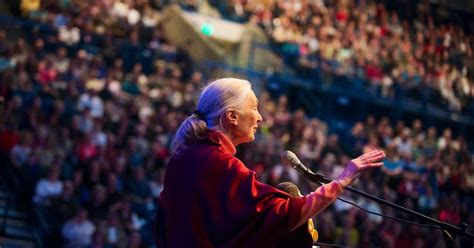 ‘my Job Is To Give People Hope Dr Jane Goodall In Halifax This Week