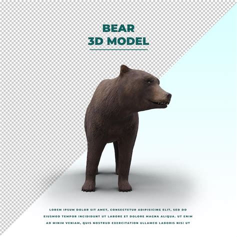 bear side view psd  high quality  psd templates