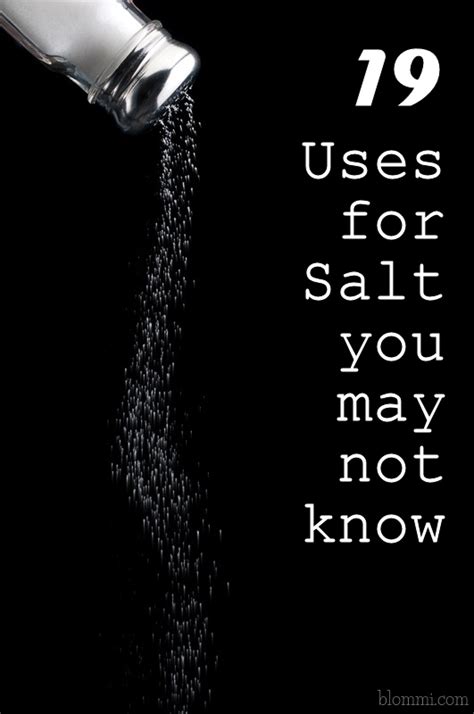 19 Uses for Salt that You May not Know - Mom Foodie