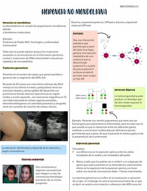 Herencia No Mendeliana Eve Meds Udocz