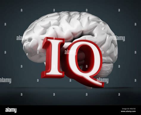 Human Brain And Iq Word On Black Background 3d Illustration Stock