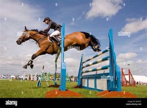 horse jumping   jump