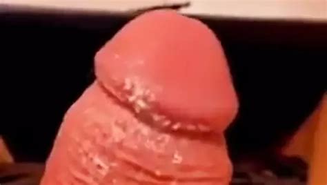 Meine Eichel Mit Smegma Free HD Videos Porn Cd XHamster