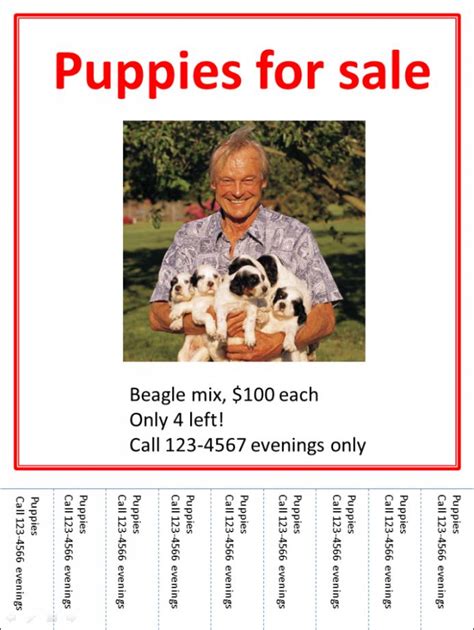 Explore Our Image Of Puppies For Sale Flyer Template For Free Sale Flyer Flyer Template