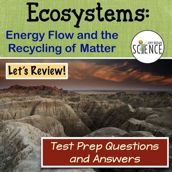 Ecosystems Test Prep Review Questions By Amy Brown Science TPT