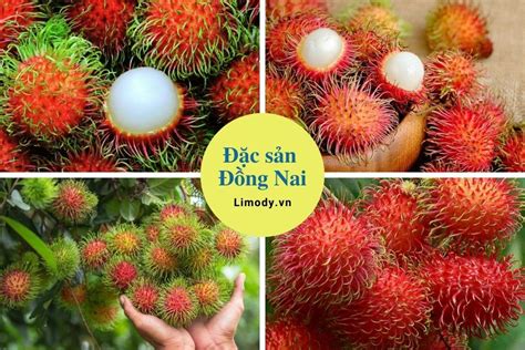 Top 20 Đặc Sản Đồng Nai Biên Hòa Long Khánh Nức Lòng Lữ Khách