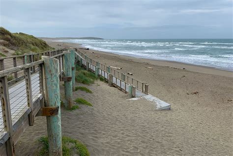 Bodega Dunes Beach And Campground In Sonoma Coast State Park