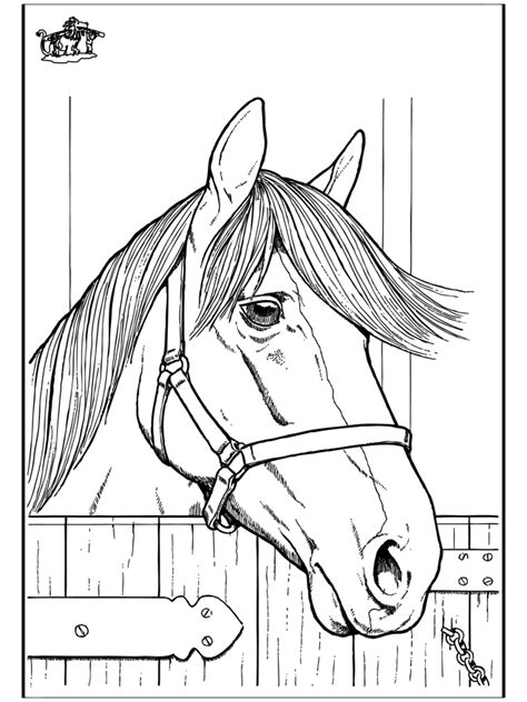 Horse Head Coloring Pages