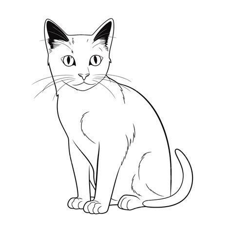 Dibujo De Gato Siam S Sentado Para Dibujar P Ginas En Un Boceto