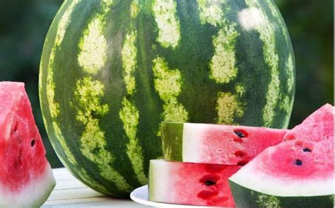 Crimson Sweet Watermelon Growing Guide - Jardin HQ