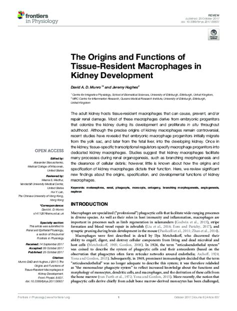 Pdf The Origins And Functions Of Tissue Resident Macrophages In