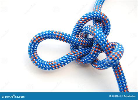 Alpine butterfly knot stock image. Image of knot, climb - 7830841