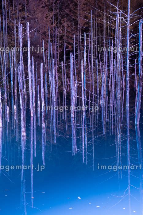 ライトアップされた秋の夜の湖 美瑛町の写真素材 234763245 イメージマート