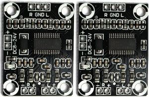 Eshmeet Pack Of 2 TPA3110 Dual Channel Digital Audio Amplifier Board