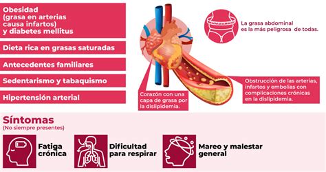 Recomendaciones Alimentarias Para Personas Adultas Mayores Con