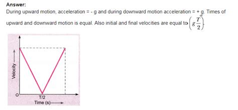 Please Answer This Question Draw A Velocity Time Graph Of A Stone