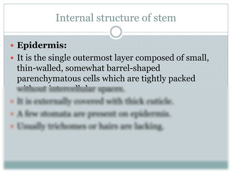 SOLUTION: Plant anatomy internal structure of stem - Studypool