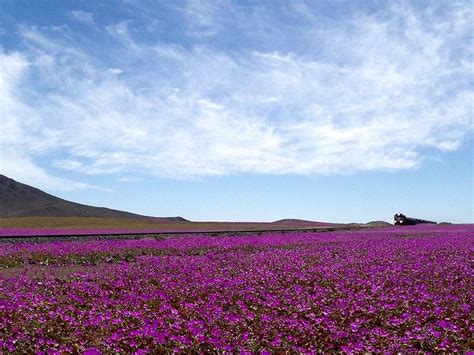 Atacama Region 2024: Best Places to Visit - Tripadvisor