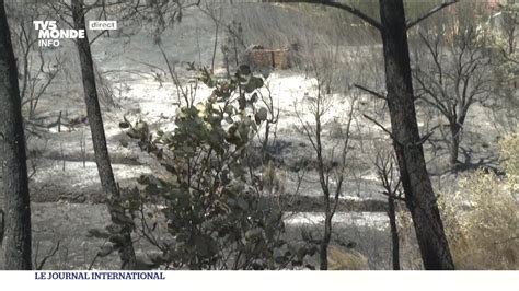 Incendies Les Pompiers Mobilisés Au Portugal Youtube