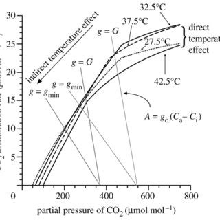 Modelled Response Of Photosynthesis And Stomatal Conductance G To The