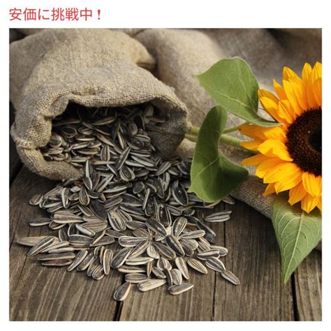 Giants Sunflower Seeds 5 Flavor Variety ジャイアント ひまわりの種 サンフラワーシード5種 クリップ