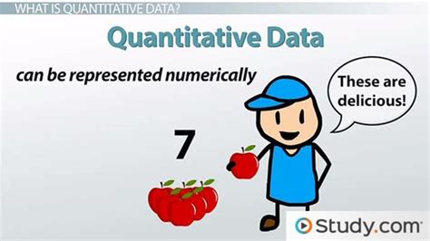 What Is Quantitative Data Definition Examples Video Lesson