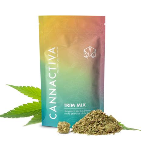 Cannabis And Cbd In The Netherlands Cannactiva