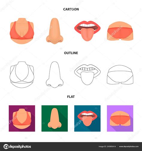 Vector Illustration Of Body And Part Symbol Set Of Body And Anatomy