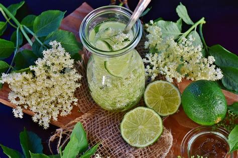 Recept Na Dom Ci Bazov Sirup Chovatelahospodar Sk