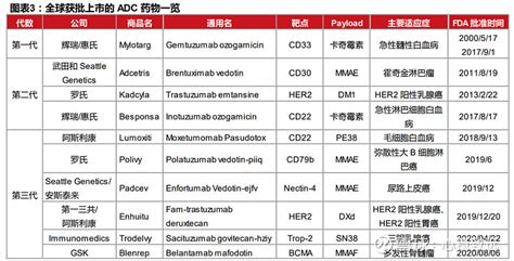 【全球获批上市的adc药物一览】 1）全球目前兯有十款adc药物获批上市，分别是武田seattlegenetics的a 雪球