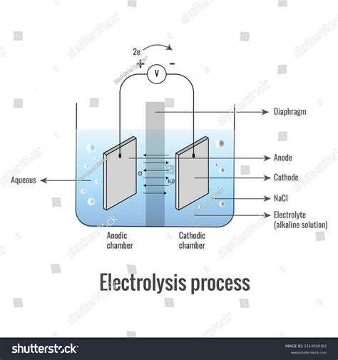 Electrolysis Of Sodium Chloride Labeled Diagram Royalty Free Stock Vector 2163058383