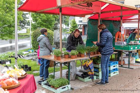 Gossau early morning children s flea market 2024 瑞士国家旅游局