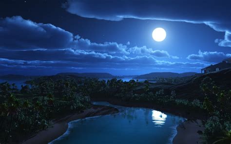 Moon Hills And Palm Trees Beautiful Night Landscape Phone Background Image