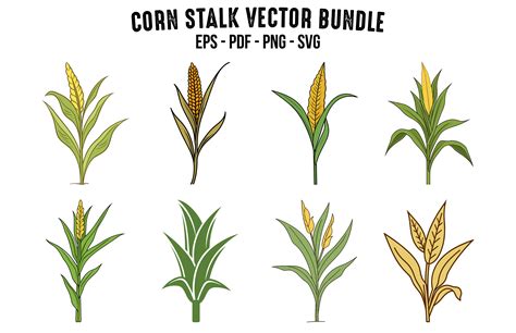 Corn Stalk Vector