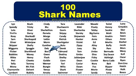 Best Shark Names Male Female Cartoon Vocabulary Point