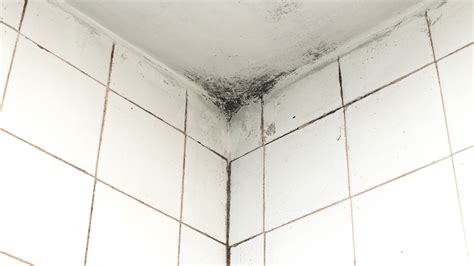 how to get rid of mold on a bathroom ceiling