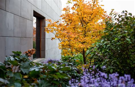 Maple Garden by Mud Office | ArchiPro AU