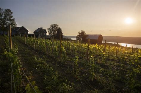 International Riesling Day: American style - Decanter