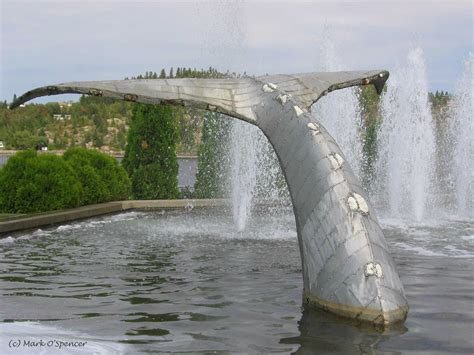 Chicoutimi Chants De Mer De Marins Et Autres