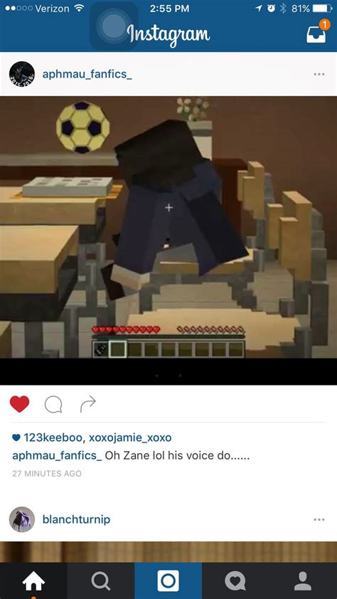 Pin By Destinee Mckee On Minecraft Diariesaphmau Aphmau Lol Zane