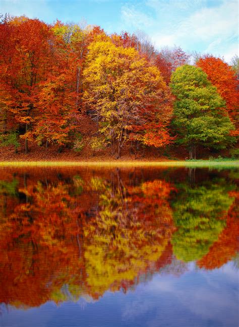 Fond D'écran Automne Hd · Photo gratuite