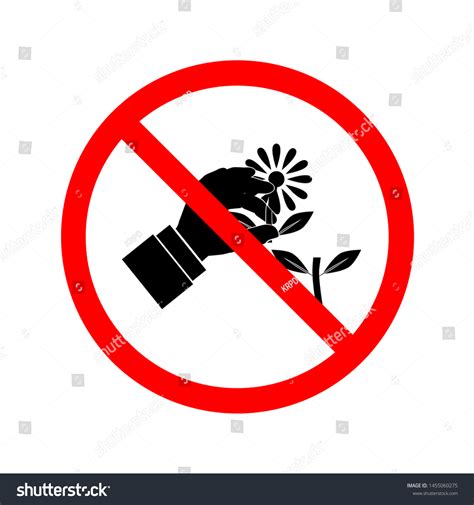 Symbol Do Not Pluck Flowers On Stock Vector Royalty Free