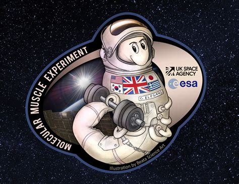 A Space Mission Patch For The Molecular Muscle Experiment 1 Beata Science Art