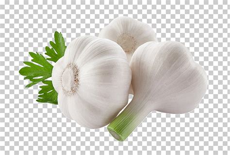 A Grade Garlic Packaging Size Kg Kg Garlic Size Big Medium At